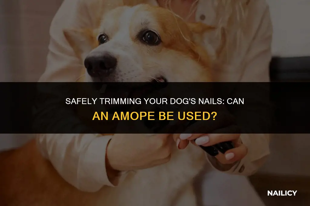can i trim my dogs nails with an amope