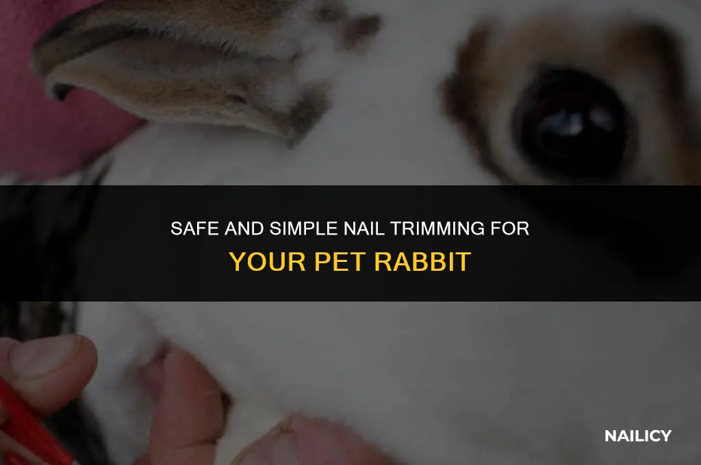 can i trim my rabbits nails