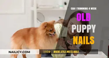 Safely Trimming Your 4-Week-Old Puppy's Nails: A Step-by-Step Guide