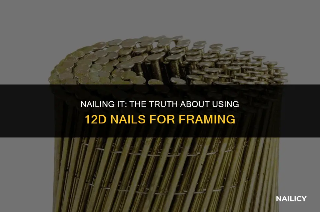 can i use 12d nails for framing