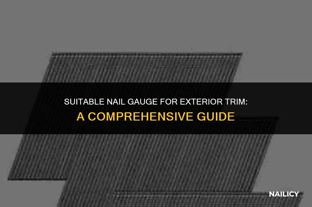 can i use 18 gauge nail on exteriors ttrim