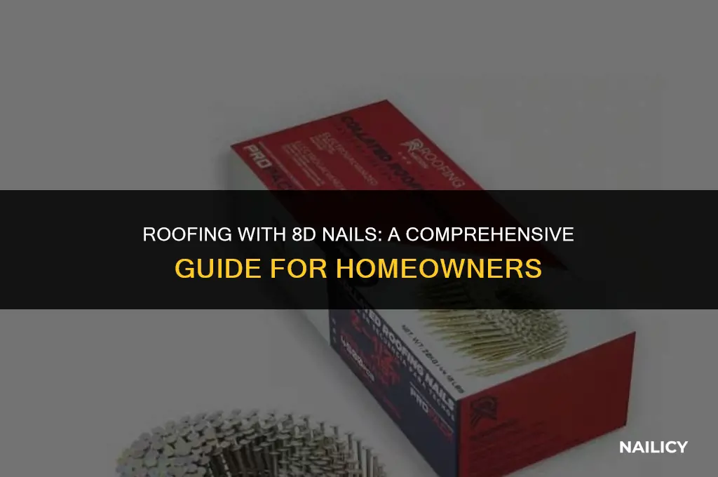 can i use 8d nails for roof