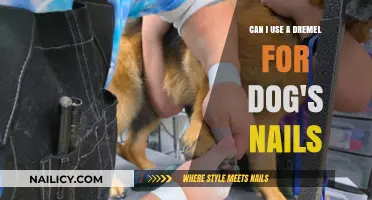 Dremel for Dog's Nails: A Safe and Effective Grooming Alternative?