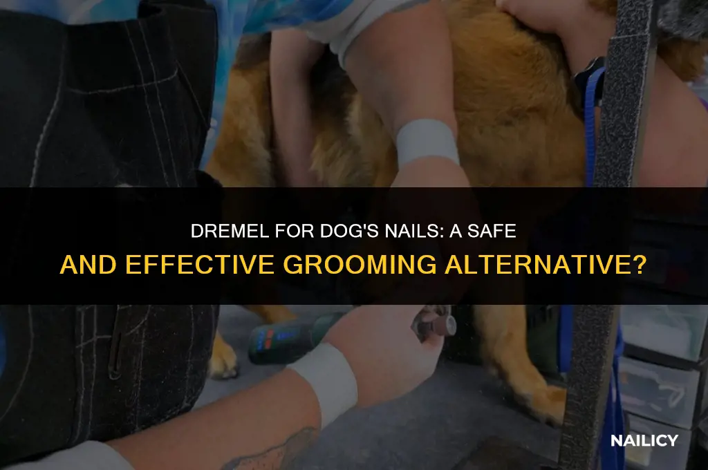 can i use a dremel for dog