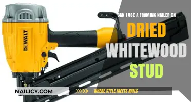 Framing Nailer on Dried Whitewood Stud: A Comprehensive Guide