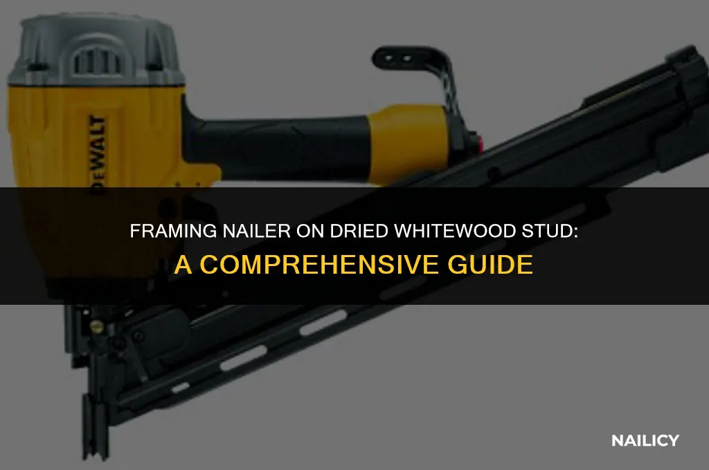 can i use a framing nailer on dried whitewood stud