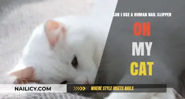 Feline Grooming Dilemma: Human Nail Clippers for Cats?