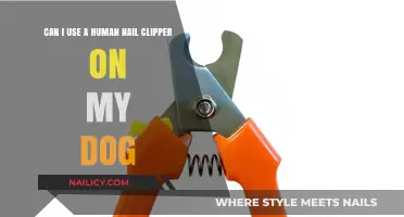 Paws and Reflect: Human Nail Clippers for Canine Care?