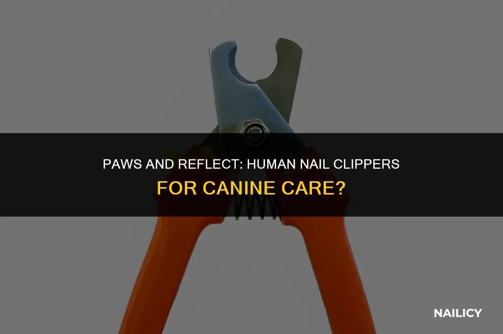 can i use a human nail clipper on my dog