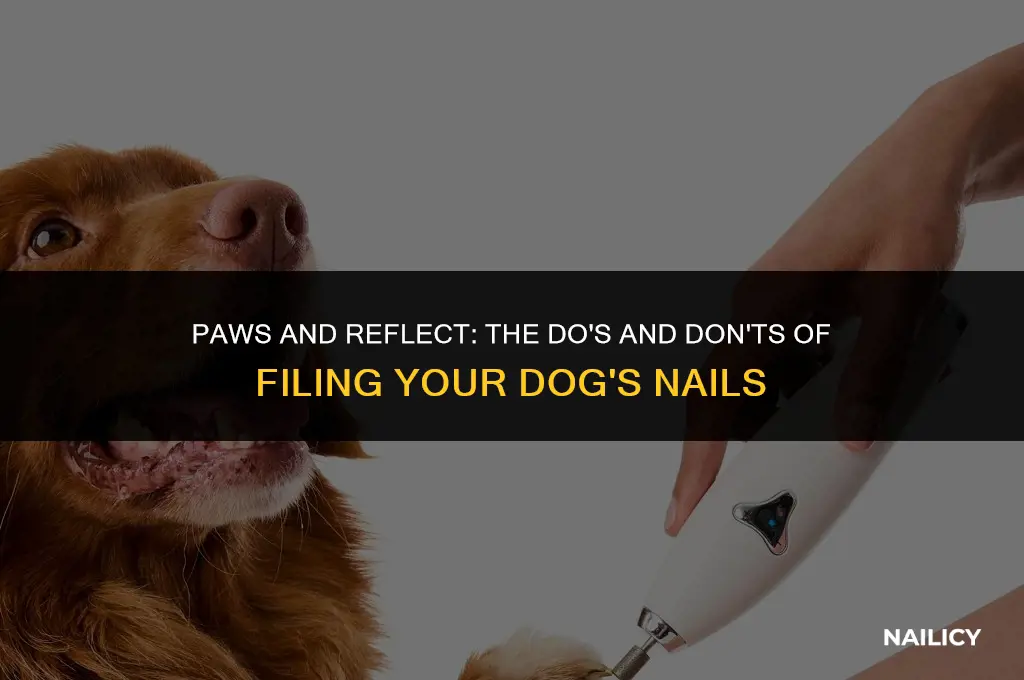 can i use a human nail file on a dog
