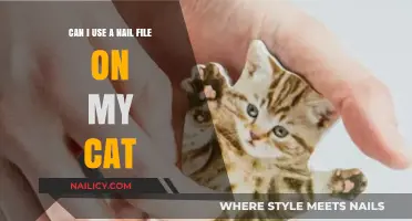 Safe Grooming Tips: Nail Filing for Cats Explained