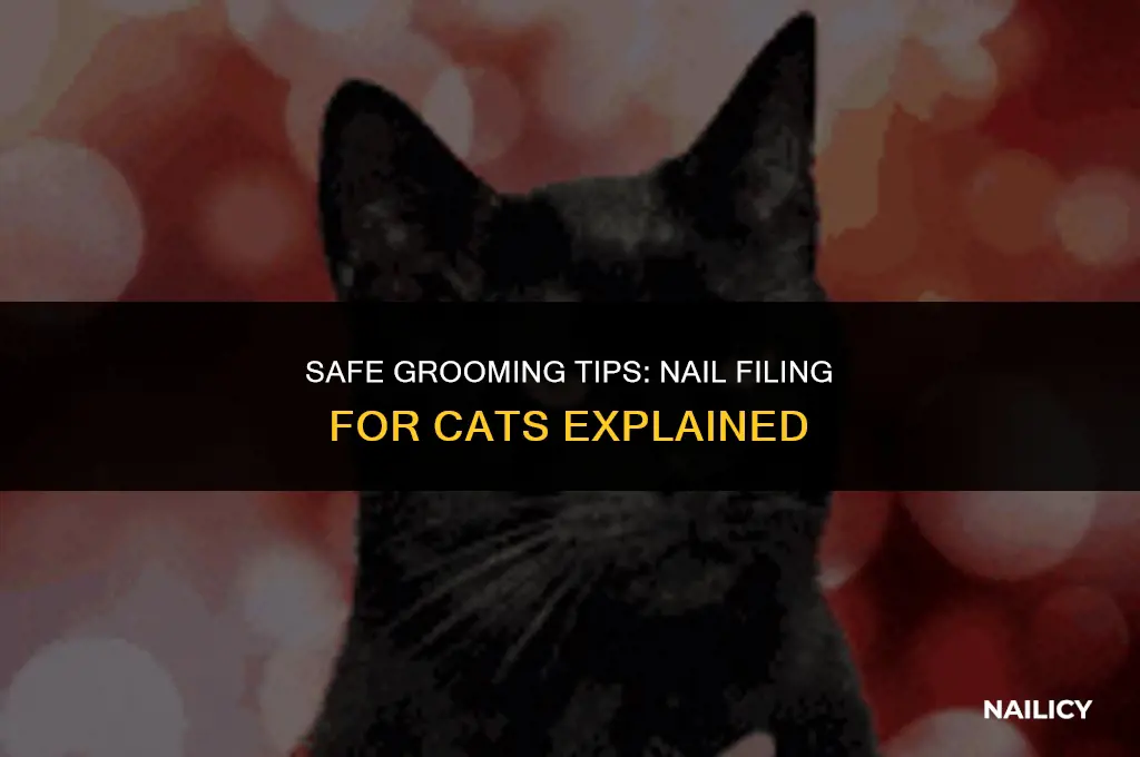 can i use a nail file on my cat