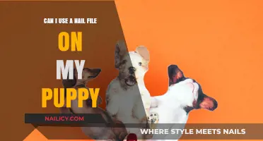 Paws and Reflect: Nail Filing for Puppies - A Complete Guide