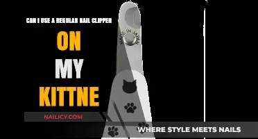 Safely Trimming Your Kitten's Nails: Regular Clippers vs. Pet-Specific Tools