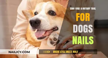 Safely Trimming Your Dog's Nails with a Rotary Tool: A Guide