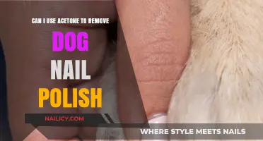 Using Acetone to Remove Dog Nail Polish: Safe or Not?