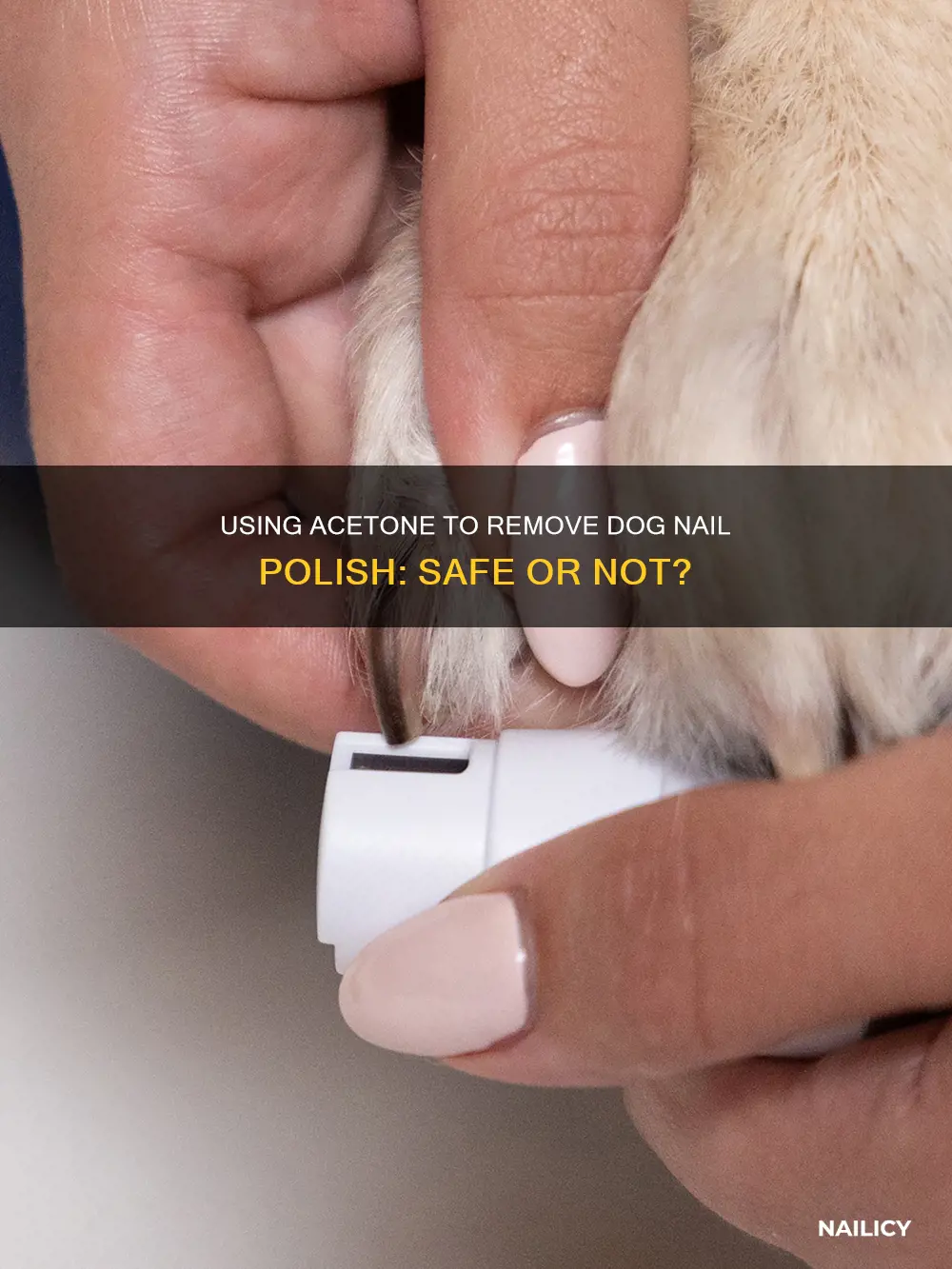 can i use acetone to remove dog nail polish