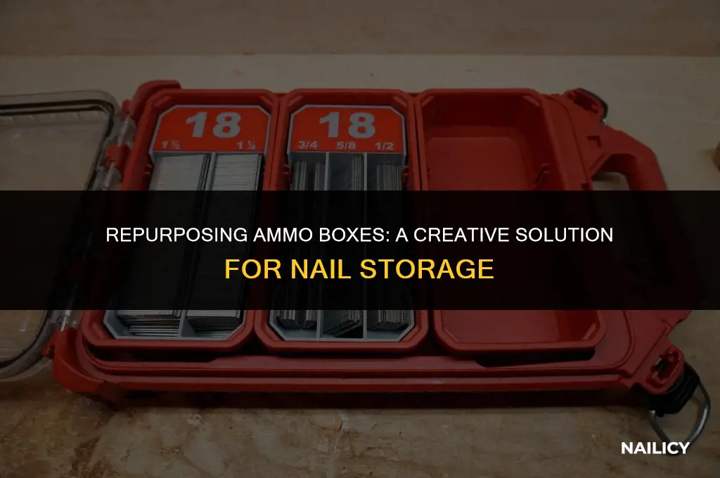 can i use ammo box for nail box