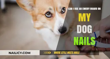 Emery Board for Dog Nails: A Safe and Effective Grooming Tool?