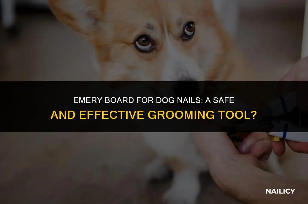 can i use an emery board on my dog nails
