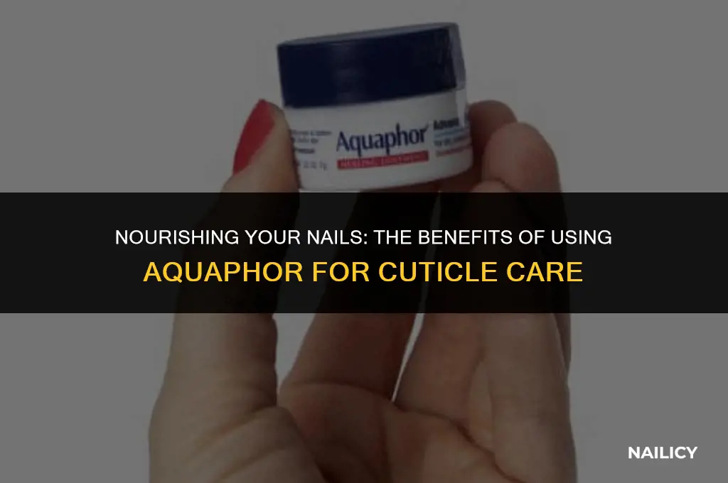 can i use aquaphor on my nails