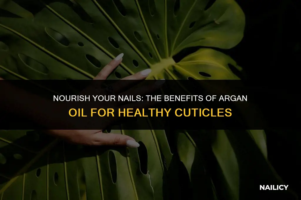 can i use argan oil on my nails