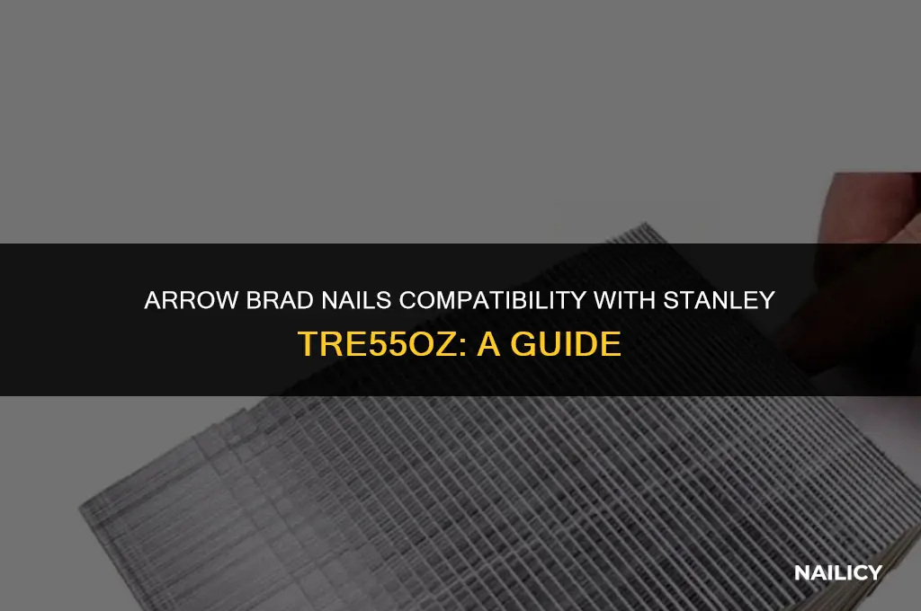can i use arrow brad nails in my stanleytre55oz