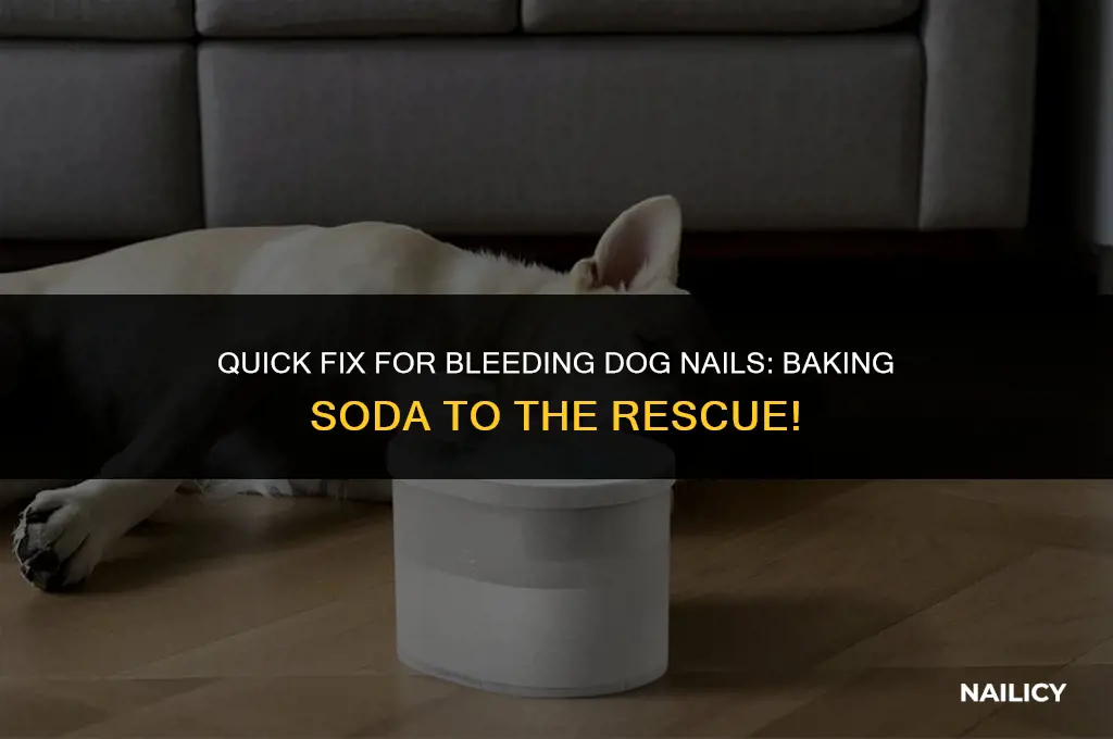can i use baking soda to stop dog nail bleeding