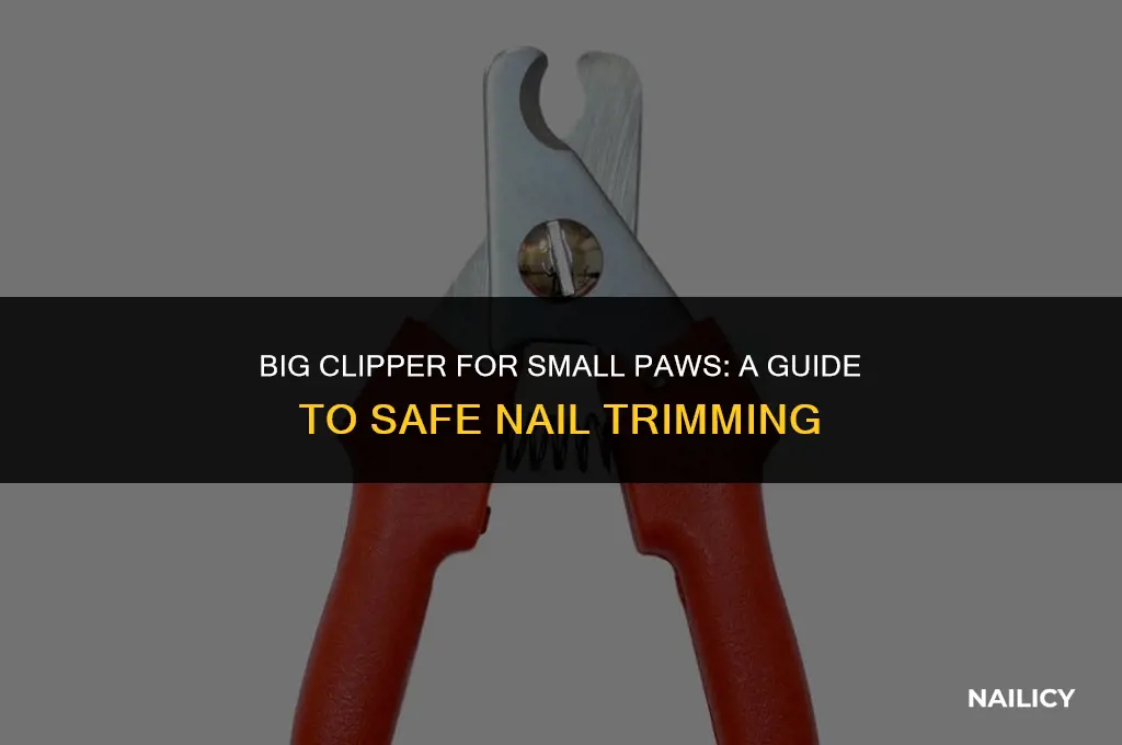 can i use big dog nail clipper on small dog