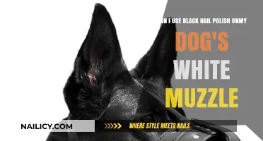 Is Black Nail Polish Safe for Your Dog's White Muzzle?