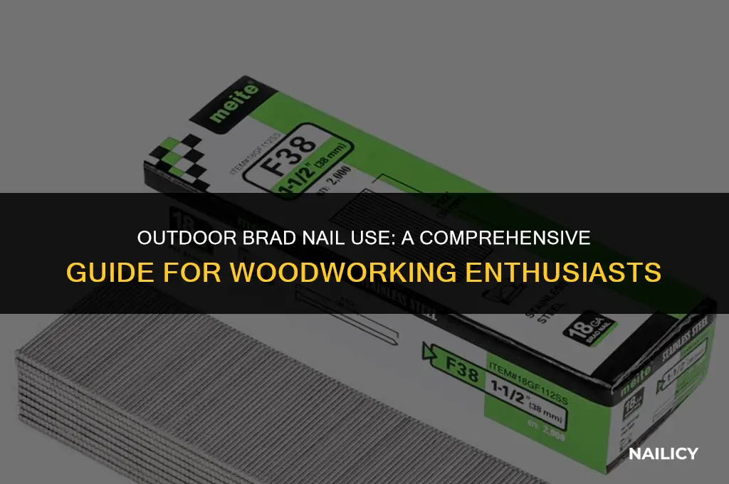 can i use brad nails outside
