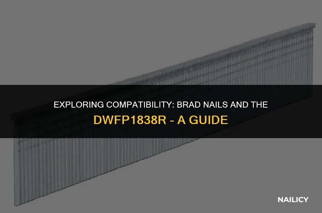 can i use brad nails with dwfp1838r