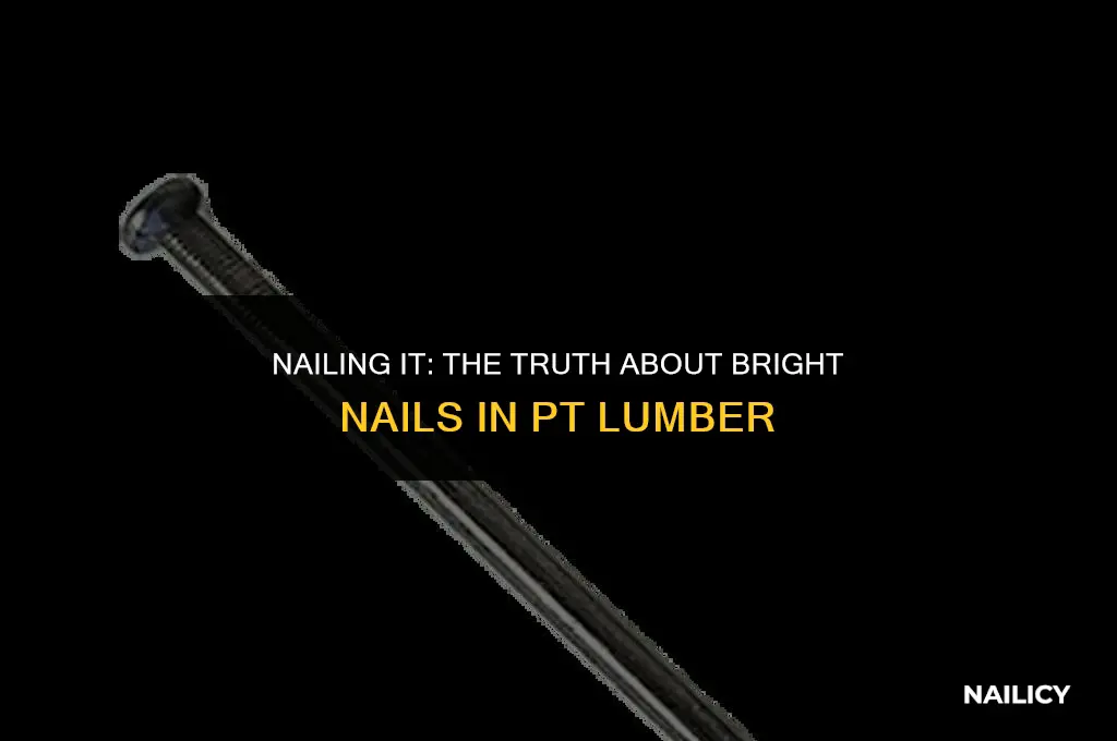 can i use bright nails in pt lumber