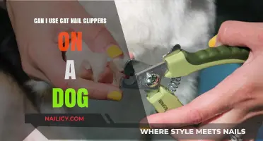 Pet Grooming Dilemmas: Can You Safely Use Cat Nail Clippers on a Dog?
