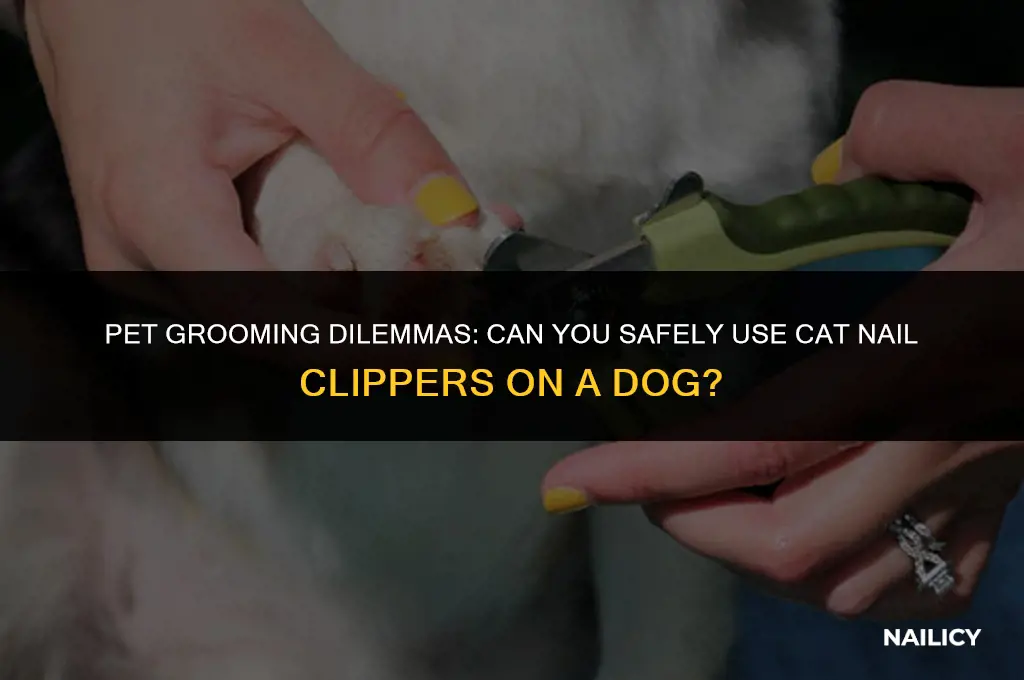 can i use cat nail clippers on a dog