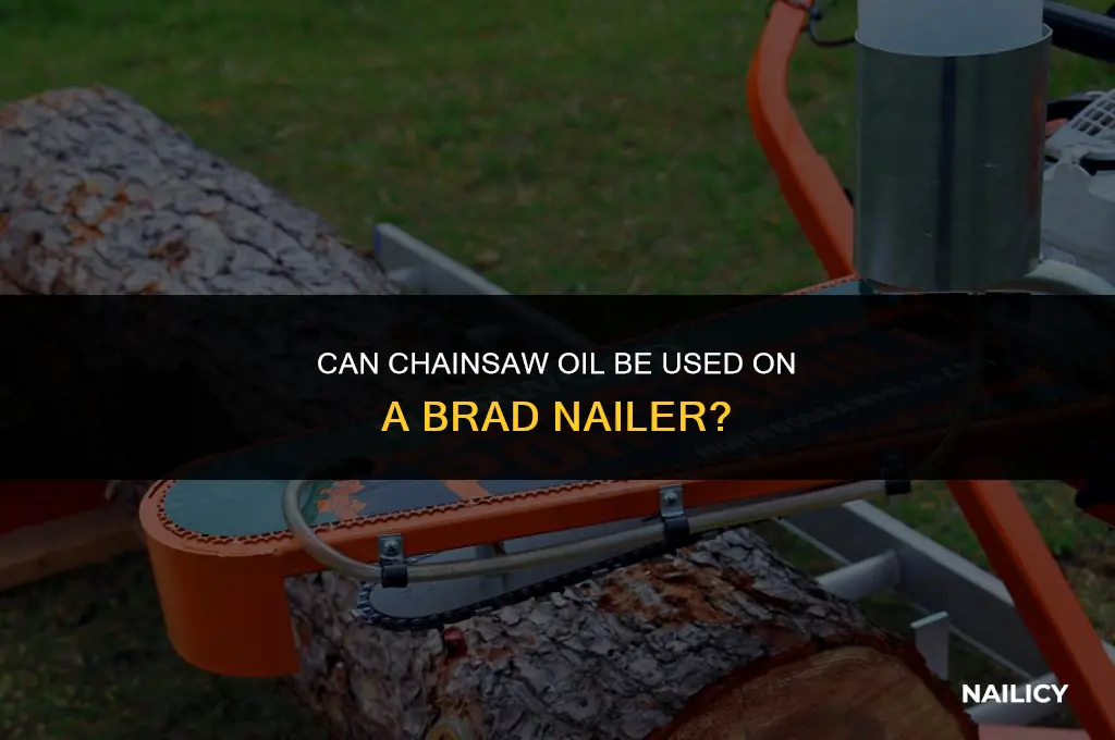 can i use chainsaw oil on brad nailer