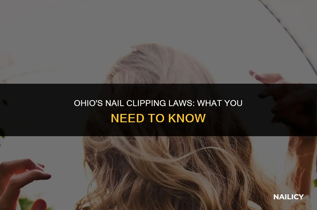 can i use clipped head nails in ohio