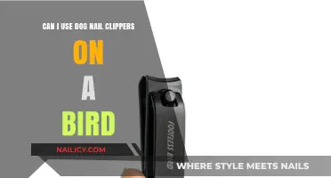 Safe Grooming: Can You Use Dog Nail Clippers on a Bird?