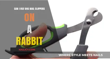 Safe Grooming Tools: Can Dog Nail Clippers Be Used on Rabbits?