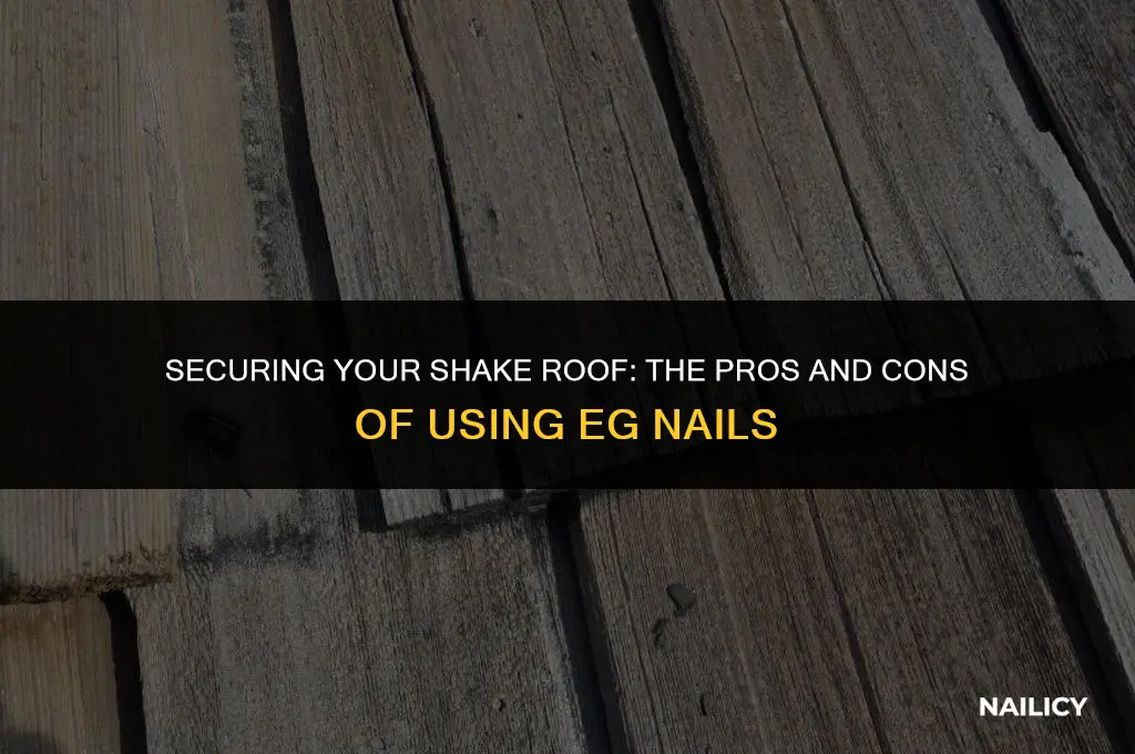 can i use eg nails on shake roof