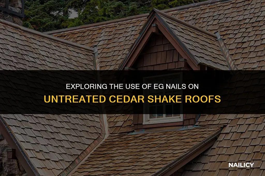 can i use eg nails on untreated cedar shake roof