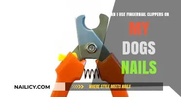 Safely Trimming Your Dog's Nails: Fingernail Clippers Guide