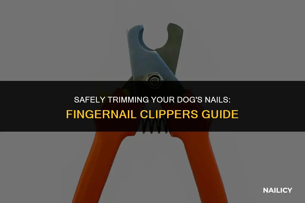 can i use fingernail clippers on my dogs nails
