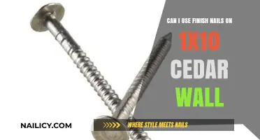 Can Finish Nails Be Used on 1x10 Cedar Wall: A Guide