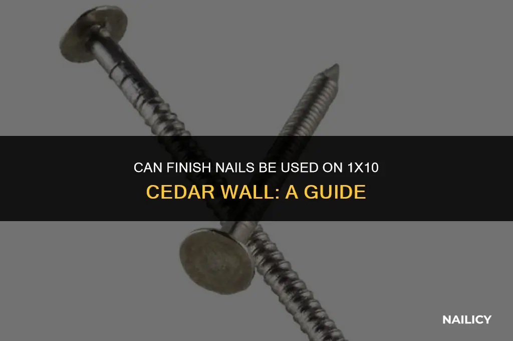 can i use finish nails on 1x10 cedar wall