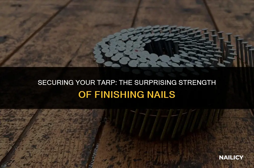 can i use finishing nails to hold a tarp