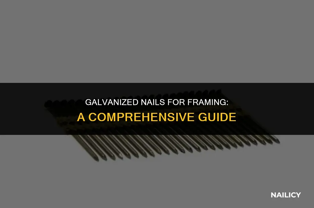 can i use galvanized nails for all framing