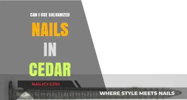 Galvanized Nails in Cedar: A Comprehensive Guide for Woodworkers