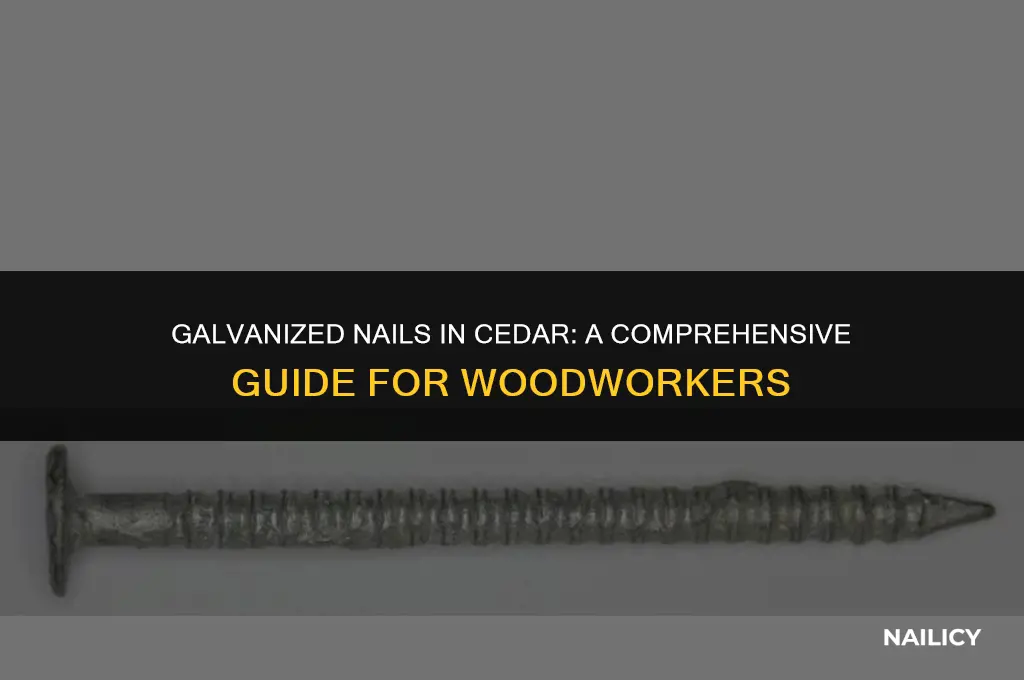 can i use galvanized nails in cedar
