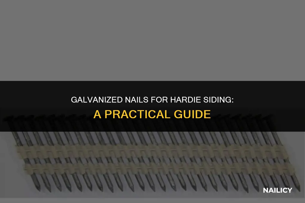 can i use galvanized nails in hardie siding